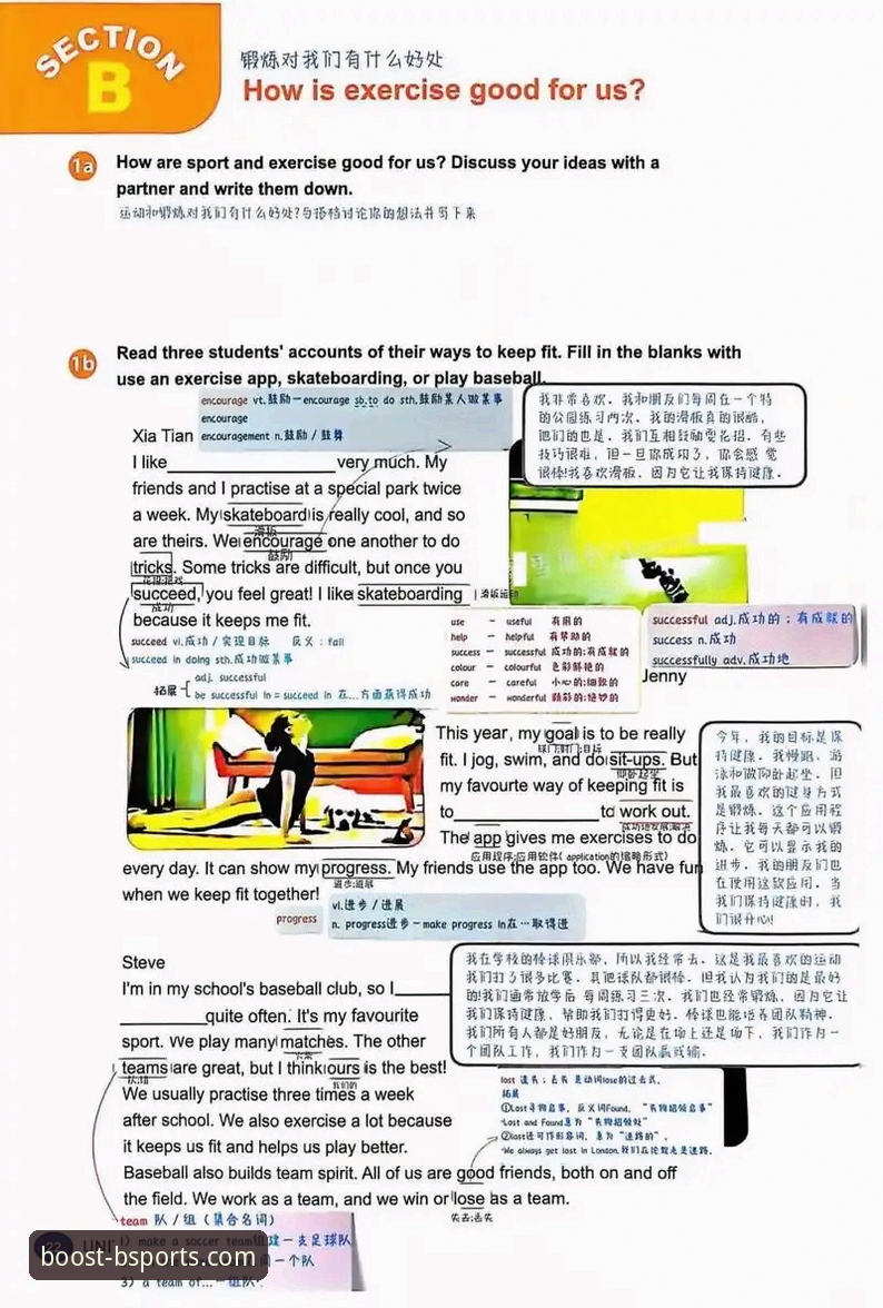 b体育网页版登录对比全面解析：官网、手机版与最新版本深度剖析